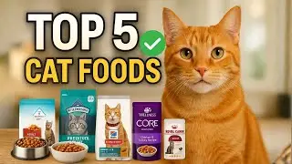 5 Best Cat Food Brands in the USA [Vet-Approved]