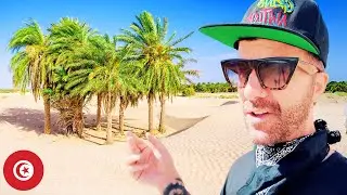 Oasis Hopping in Tunisia: The Search For Water