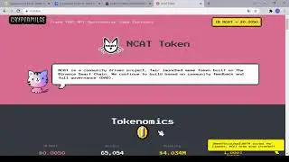 Nyan Cat Token (NCAT)