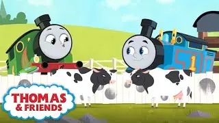 Thomas & Friends&trade; All Engines Go - Counting Cows + more Kids Cartoons