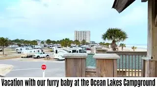 A Tour Of The Ocean Lakes Campground With A Cute Furry Baby, Bella