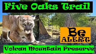Five Oaks Trail Volcan Mountain Preserve on Backcountry Trails