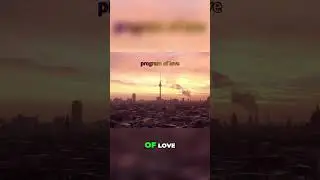 Motivated Monkey's Love Program Conclusion