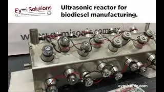 Ultrasonic reactor for biodiesel manufacturing.