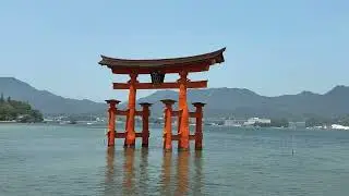 Dave in Japan 2025