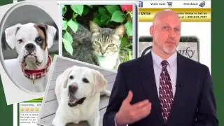 (4EverInMyHeart.com) Forever In My Heart Pet Memorials