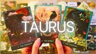 TAURUS, THE PERSON YOU&rsquo;RE WAITING ON IS READY TO TALK!!! 📣❤️ TAURUS TAROT