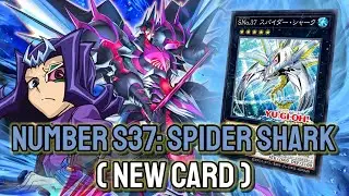 New Spider Shark!!👍 YGOPRO - Number S37: Spider Shark | Shark Nov.2024 | New Card