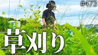 【草刈り】梅雨入り前に廃墟の緑一面の庭を一気にスッキリさせる! #473