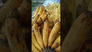 #LACATAN AT LATONDAN #GOOD FOR HEALTH#