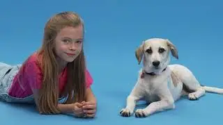 Lichterkinder - Beste Freunde | Wau Wau Wuff (Offizielles Tanzvideo) | Kinderlied | Kindergarten