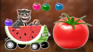 Talking Tom Billu eating colourful tomatar comedy video 🐈🐈/ #mkbillu #sbbillu #billucomedy