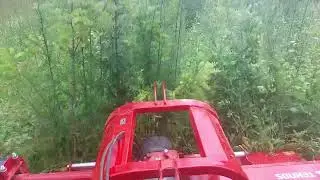 Armatrac 854e underbrush mowing / malčiranje &scaron;ikare