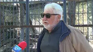 Хасковският зоопарк подготвя разселване на три големи лъва и едно малко