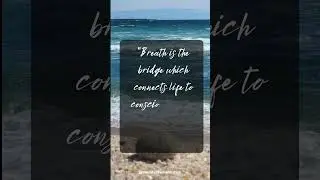 Stop Chasing, Start Being #presence #shorts #motivation #quotes #moneymanifesting