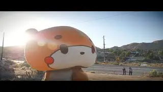 BearSun Documentary