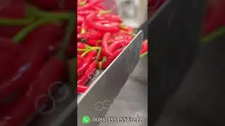 Amazing Hot Sauce Manufacturing Process