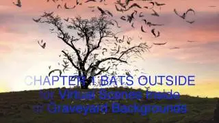BATS ANIMATION