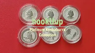 Platinum Kookaburra Collection