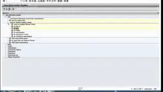 19 SAP User Information System