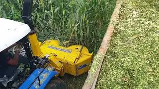Multi row maize chopper for silage in india