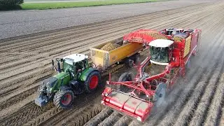 Potato Harvest | Grimme Varitron 470 | 2x Fendt 724 & Fendt 720 | Miedema MB 111 | Cornelissens