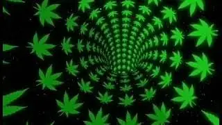 🔥🔥Psy trance weed status 🔥🔥