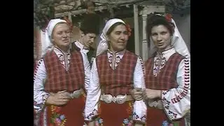АНСАМБЪЛ „ЛИСЕЦ“ - ГР. ОМУРТАГ (1990)