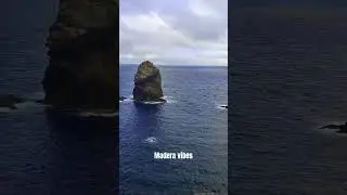 MADERA VIBES #music #electronic #ambient #travel #life #lifestyle #video #viralvideo #viral #shorts