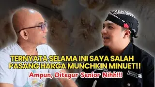 Selama ini saya patok harga munchkin minuet terlalu murah!! Ampun suhu, Hari ini ditegur senior!