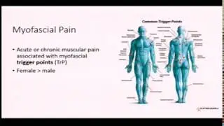 Diagnosis and Treatment of Common Pain Disorders I 3/6/19