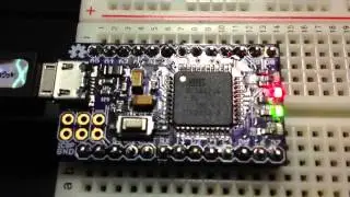 Led blink test with TinyLEO