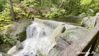 Enders State Forest
