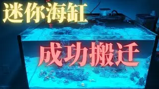 小公寓换豪宅！迷你海缸搬迁【IM 25加仑 Lagoon】#3