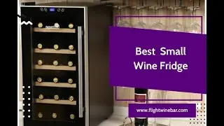 The 7 Best Small Wine Fridge In 2022 &ndash; Reviews and Buying Guide!