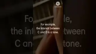 MUSIC THEORY ||TONE SEMITONE ||#musictheory #ytshorts #tone #semitone #interval #shorts