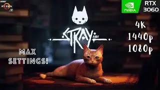Stray | 4k | 1440p | 1080p | Max Settings | RTX 3060 + 5800H