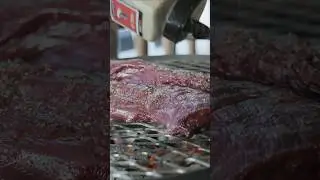 Стивен Ринелла готовит на гриле вырезку лося #готовка #охота