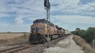 UP #8146 Manifest W in Arlington, NE (10-11-25)