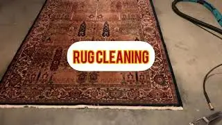Tile shower cleaning & Carpet cleaning Before & After