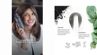 Anomaly Clarifying Shampoo for Deep Cleanse with Charcoal & Eucalyptus