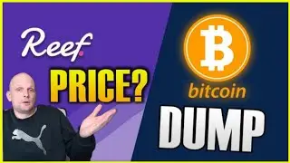 REEF FINANCE PRICE UPDATE BITCOIN PRICE ANALYSIS