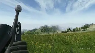 Fog Bug?