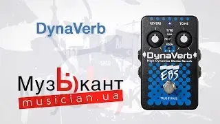 EBS DV | Гитарная педаль EBS DynaVerb (динамический стерео ревербератор)