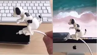 How to Use Funny Humping Dog Fast Charger Cable?