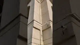 Jamia Millia Islamia #shorts #jamian #college || video shoot by @vlogsgram