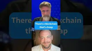 BSV Development is a Long-term Effort