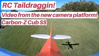 RC Taildraggin! In The Air: E-flite BNF Carbon-Z SS Cub
