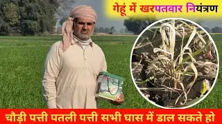 FMC Ambriva गेहूं में खरपतवार नियंत्रण के लिए) 🧑‍🌾 #खेती #किसान #फसल #खरपतवार #गेहूं