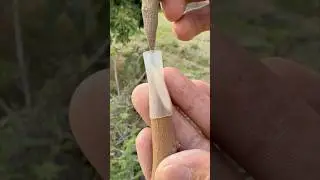 Simple Grafting Technique with A High Survival Rate #farmingtech